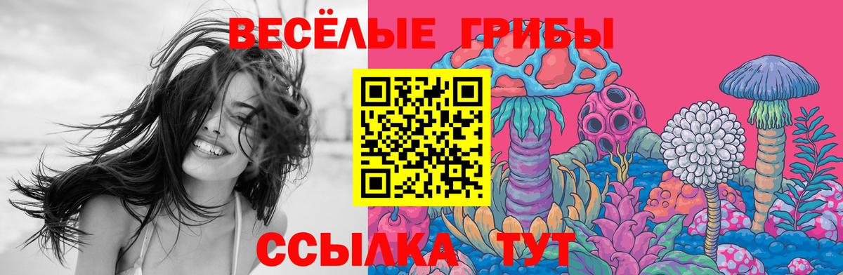 Алексин  Псилоцибиновые грибы ЛСД  Вход с VPN 